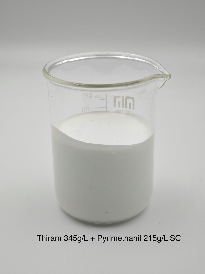 Thiram 345g/L + Pyrimethanil 215g/L SC